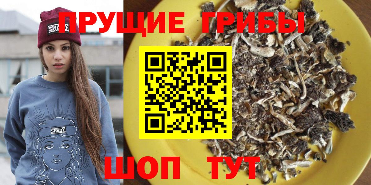 Псилоцибиновые грибы мухоморы Белгород