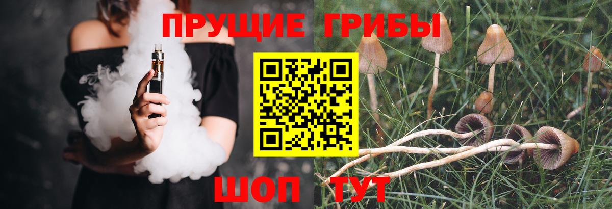 Белгород  Галлюциногенные грибы Psilocybine cubensis  Вход с VPN 